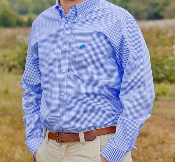 American Strutter Gingham Button Down Shirt (Sky Blue)