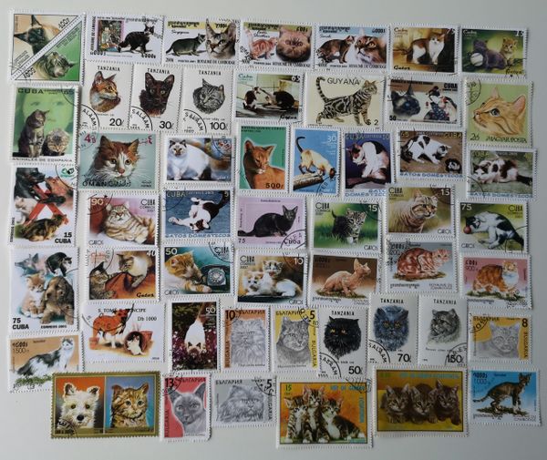 Cat Stamps Domestic Pet 100 to 500 different