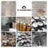 A collage comprised of several pictures of blue grey oyster mushrooms and The Lockdown Garden 