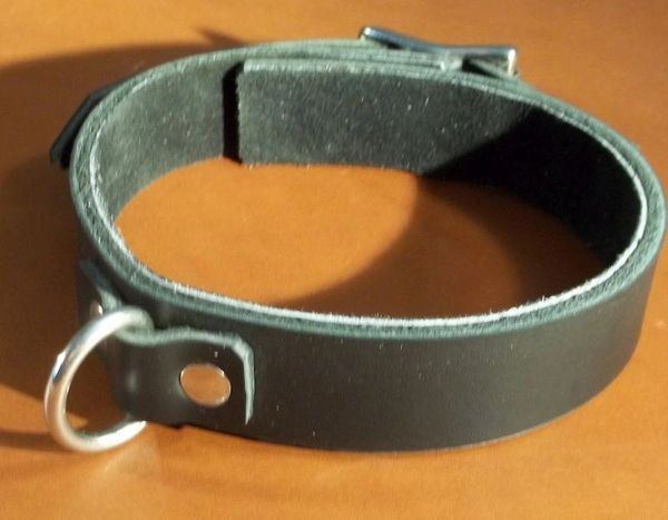 1" Wide Collar with Ring