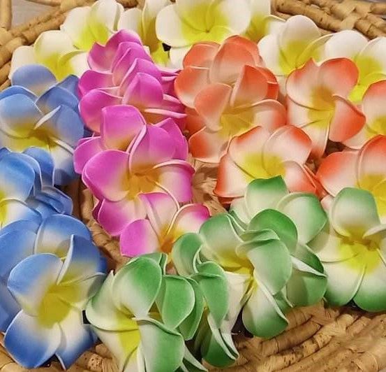 Plumeria flower on sale hair clip