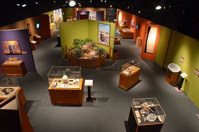 TIny Titans at the Yale Peabody Museum of Natural History with no people. 