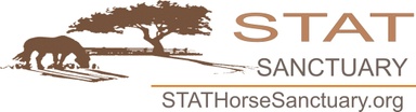 STAT Horse Sanctuary Events