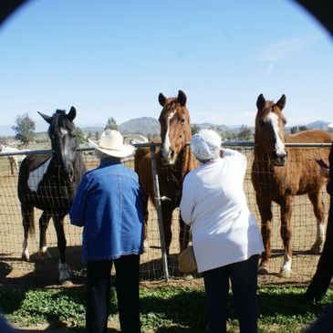 Senior Citizen visit to the sanctuary