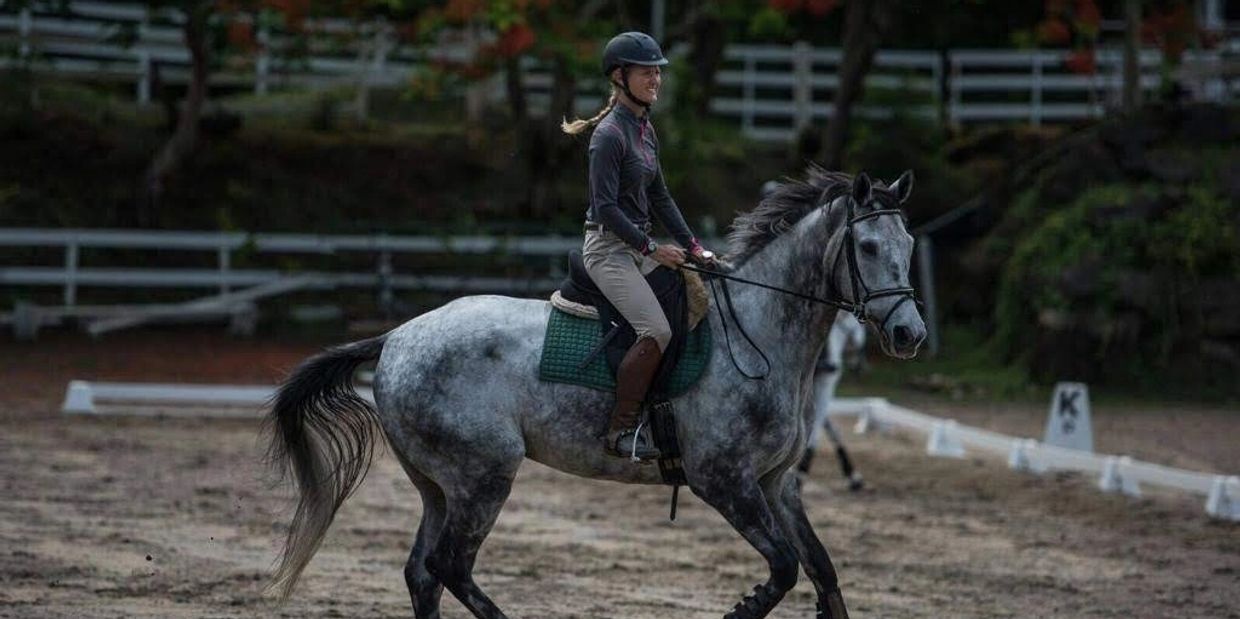 Rider training an off-the-track Thoroughbred at El Yunque, Rio Grande, Puerto Rico.