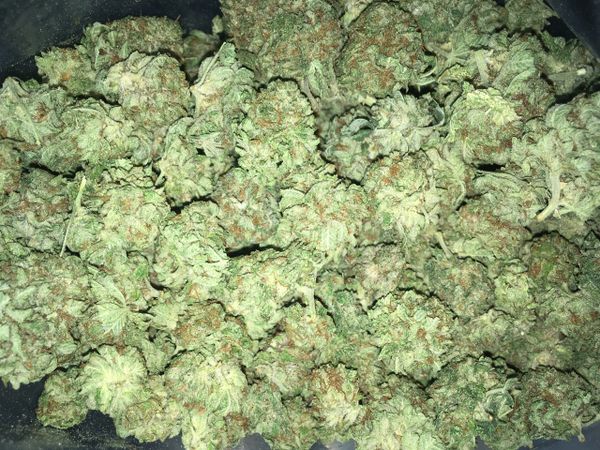 SMALL BUDS/OZ ONLY 60$