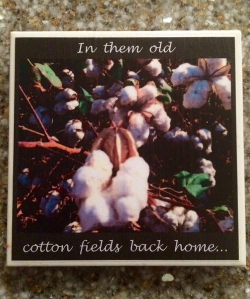 In Them Old Cotton Fields - Original Mississippi Delta Photography Coasters