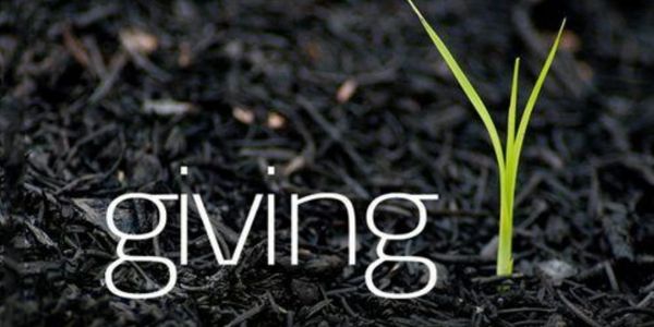 Young plant growing with the word 'giving' on soil.