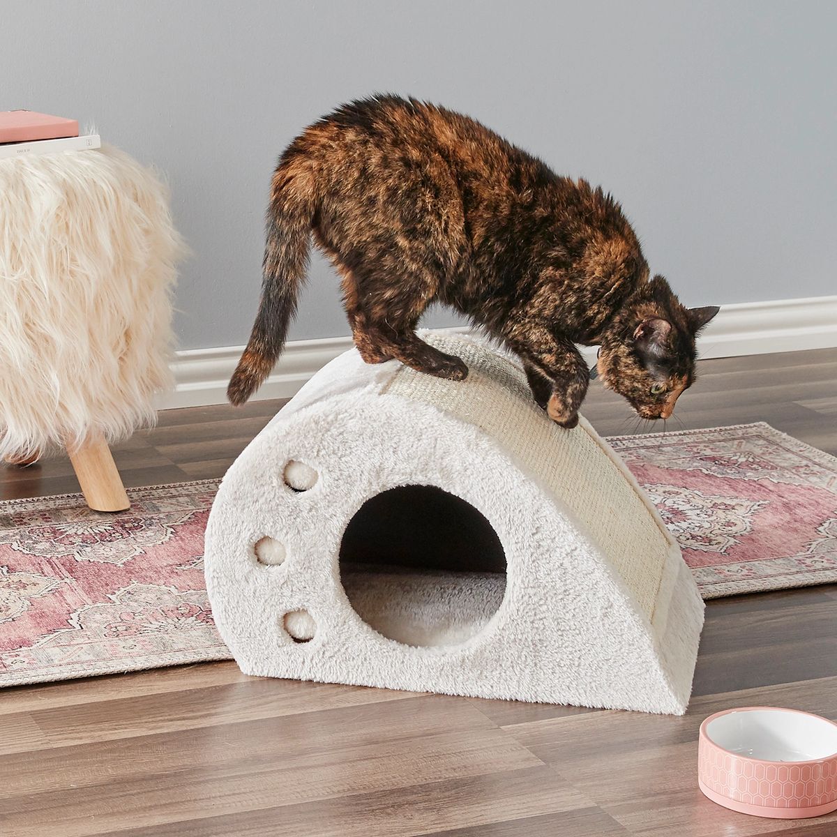 cat-activities