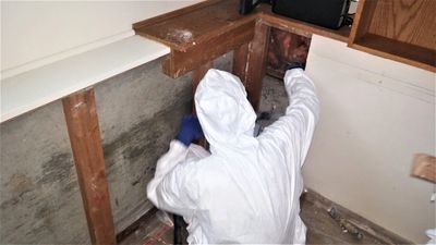 asbestos worker at work