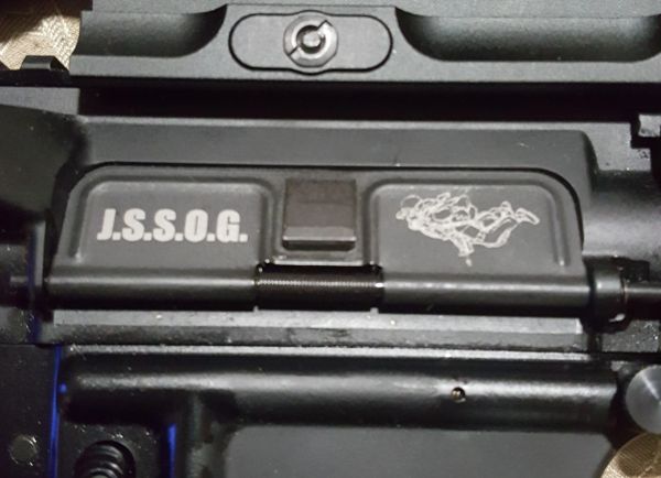 Ejection port dust cover