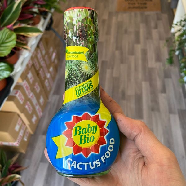 Baby Bio - Cactus/Succulent/Aloe Feed 175ml