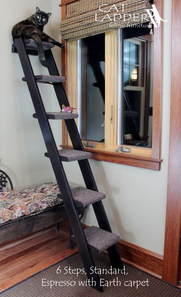 Cat ladder outlet diy