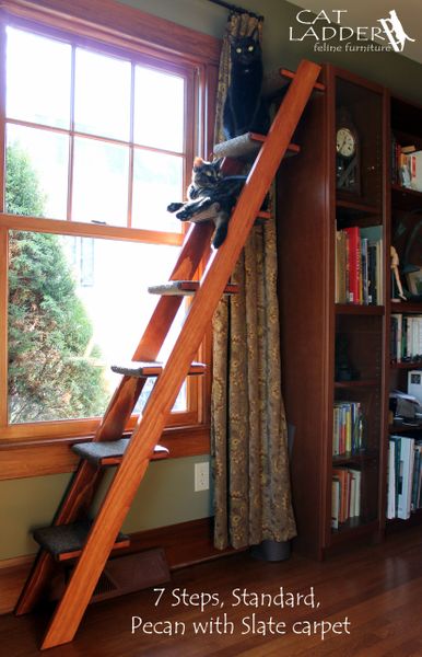 Cat ladders for sale best sale