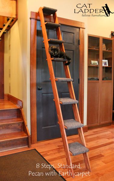 Cat ladder 2025 feline furniture