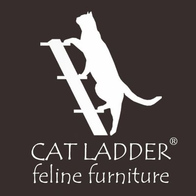 Cat Ladder Feline Furniture