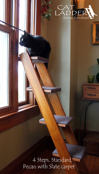 Cat on a ladder best sale