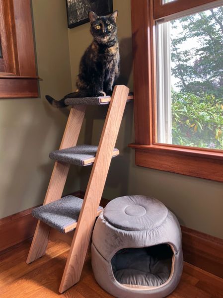 Ladder cat tree best sale