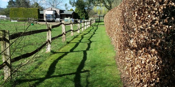 Expert witness
boundary dispute
boundary line
HM Land Registry compliant plan
right of way
easements