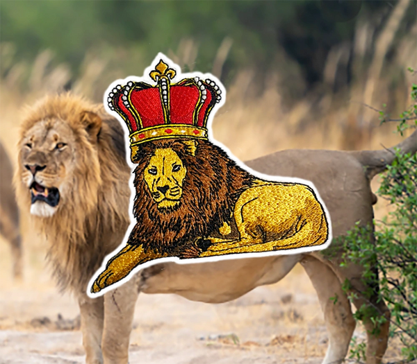 Beautiful Lion African King Patch Hip Hop 12cm / 4.7 inch