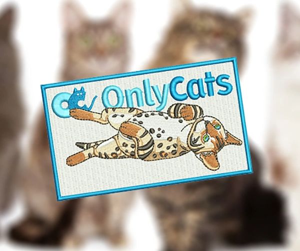 Parody Only Cats Patch 12.5cm / 4.9 inch