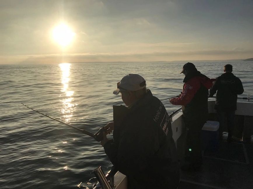 CORNISH FISHING Squid Fishing Falmouth, Eel Fishing Falmouth