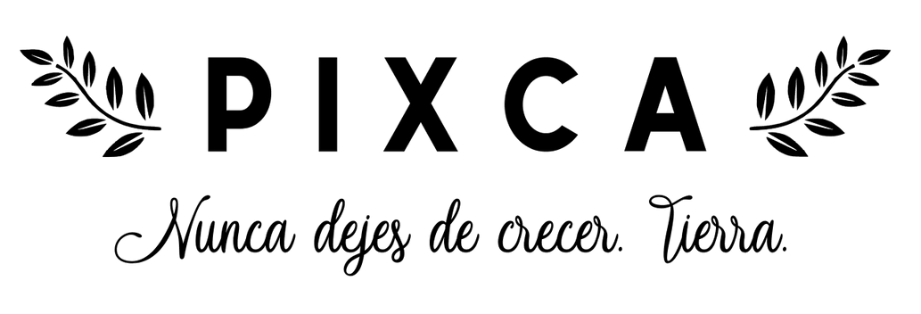 PIXCA FOODS