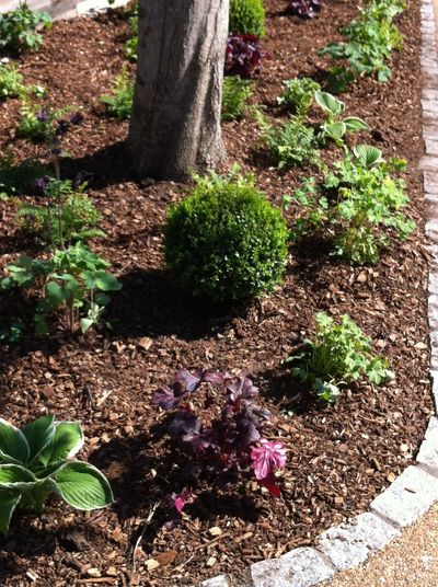 Planting, Mulching, Turfing, Landscaping services in eastbourne