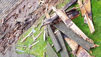 Garden Clearance and Jungle Clearance in Eastbourne