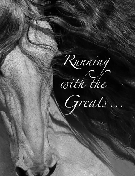 Horse Sympathy Card: Running with the Greats