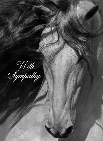 Horse Sympathy Card: Gorgeous Gray