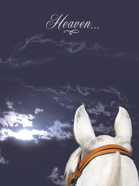 Horse Sympathy Card: Heaven...