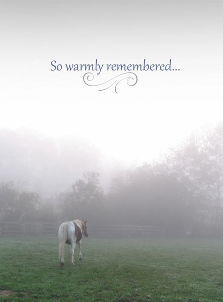 Horse Sympathy Card: So warmly remembered