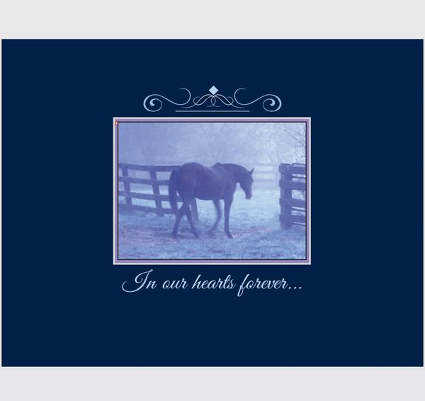 Horse Sympathy Card: In our hearts forever!