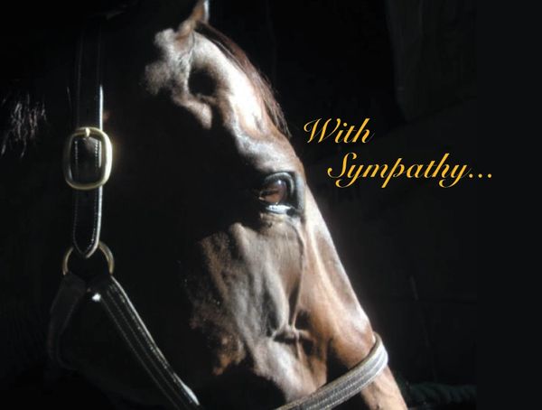 Horse Sympathy Card: With Sympathy