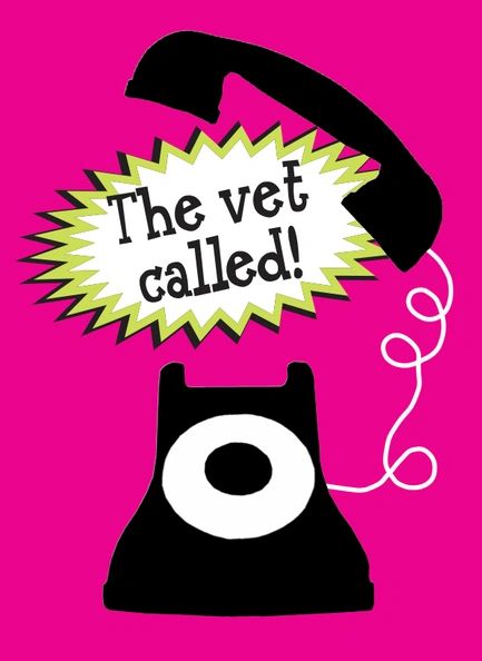 Get Well Card: Call the vet!