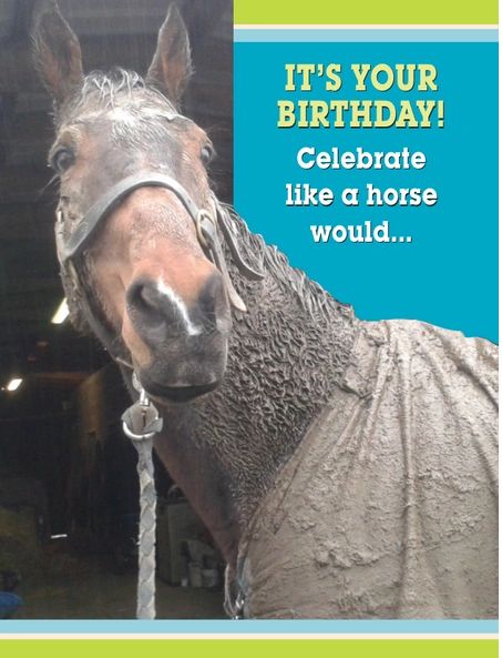 Birthday Card: It's your birthday! Celebrate like a horse...