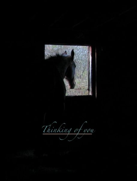 Horse Sympathy Card: Thinking of you