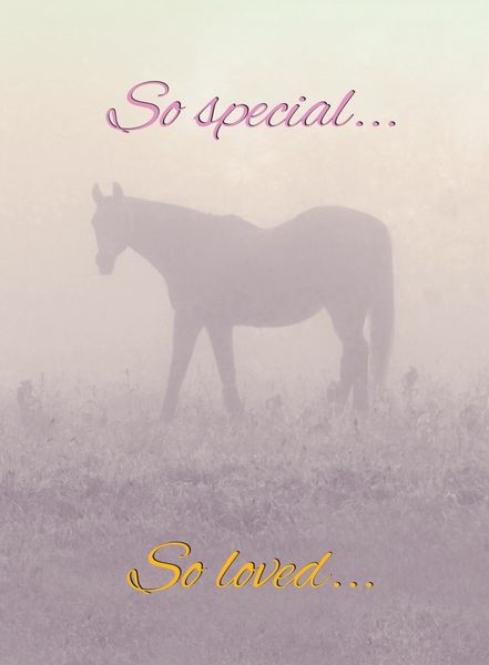 Horse Sympathy Card: So special So loved...