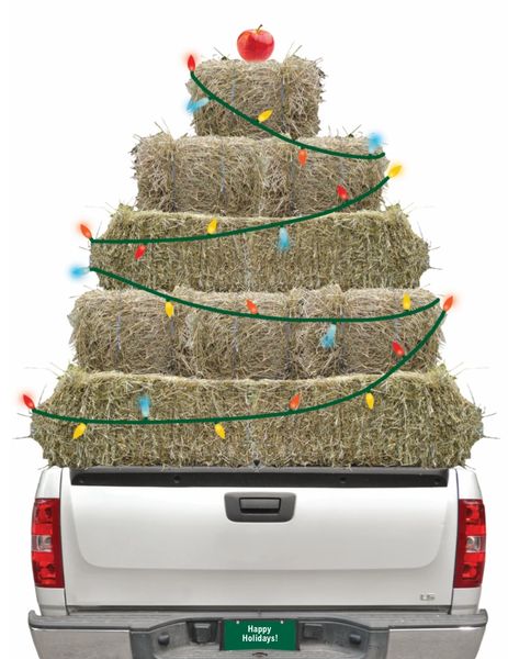Christmas Card: Truck loaded with Hay wrapped in Lights
