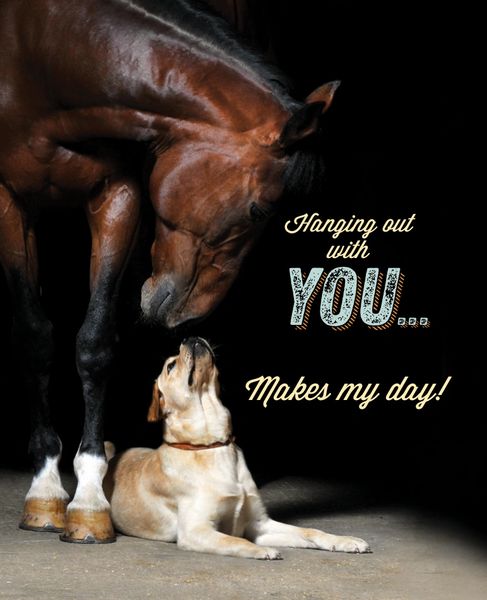 Thinking of You Card: Horse with Dog Blank Inside card