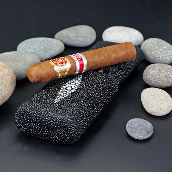 Three Cigar Show Band Carrying Case
