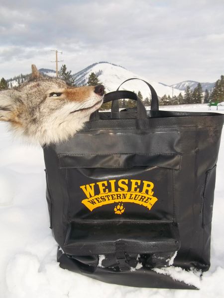 Beaver Bag Weiser Western Lure