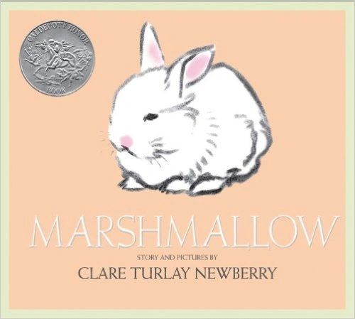 BOOK-MARSHMALLOW