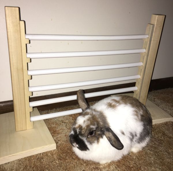 Rabbit Jump Bar Natural Wood Activity Toys Set Training Hurdles Exercise  Adjustable Height Obstacle Games for Bunny Chinchilla Guinea Pig