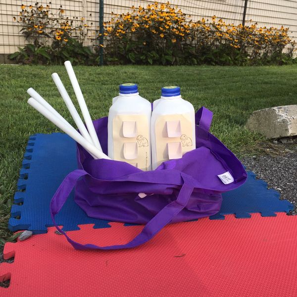 Milk Jug Jumpsbulk Rabbit Hopping