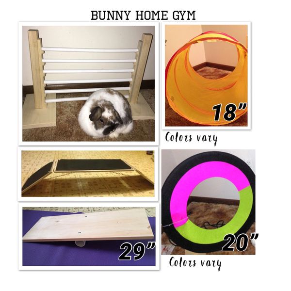 BUNNY HOME GYM