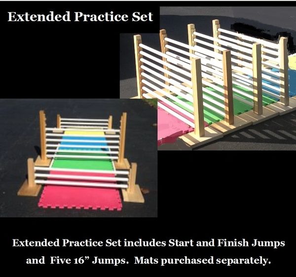 Rabbit Hopping - Deluxe Practice Set