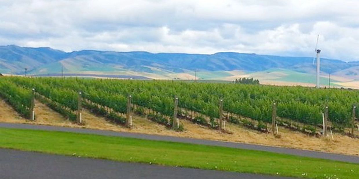 wine tour walla walla