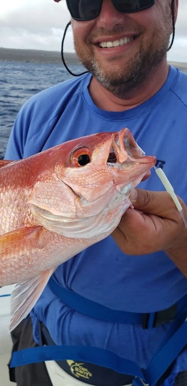 Bonaire deep dropping charter fishing